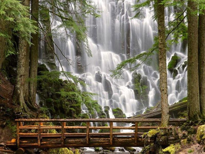 負(fù)氧離子濃度是空氣質(zhì)量評價(jià)的指標(biāo)