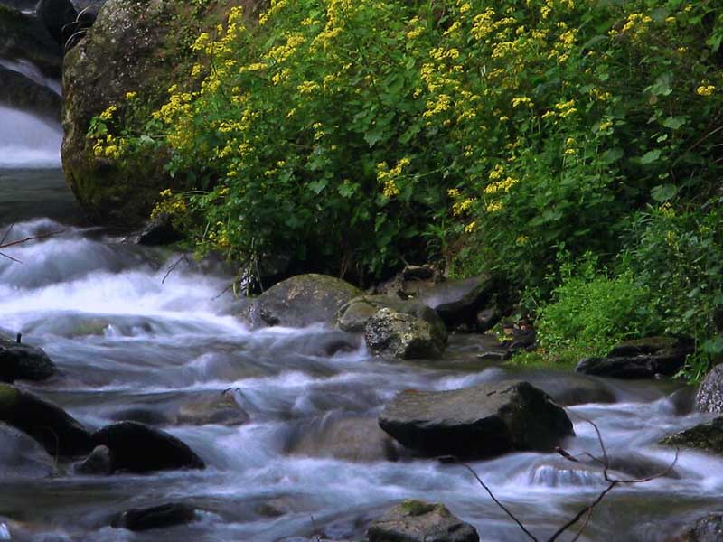 最新地表水水質(zhì)監(jiān)測(cè)數(shù)據(jù)統(tǒng)計(jì)