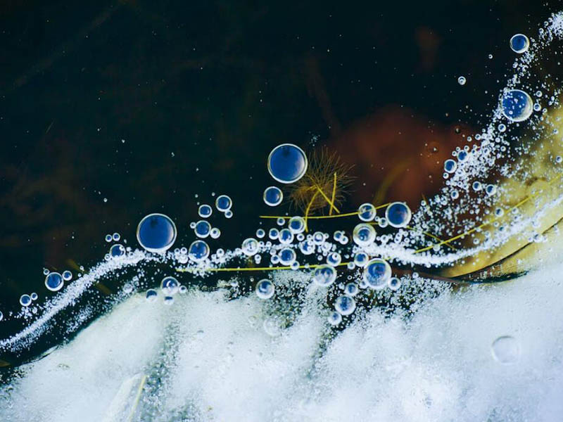 水質(zhì)微生物檢測基本原理