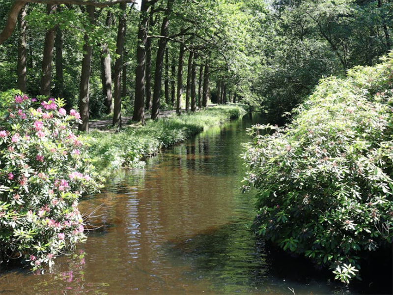 水中藍(lán)綠藻的特性與危害?（藍(lán)綠藻的檢測與識別?）