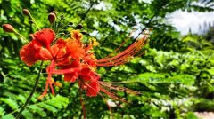 土壤有機(jī)質(zhì)檢測(cè)儀有什么作用？